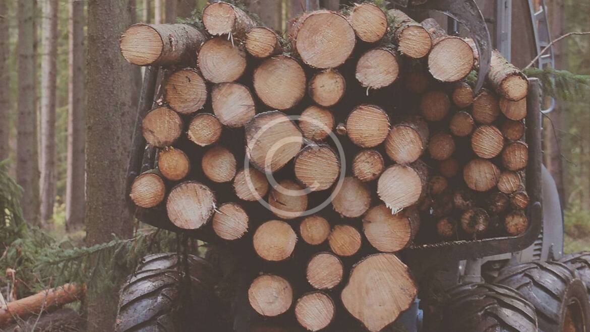Quality Wood